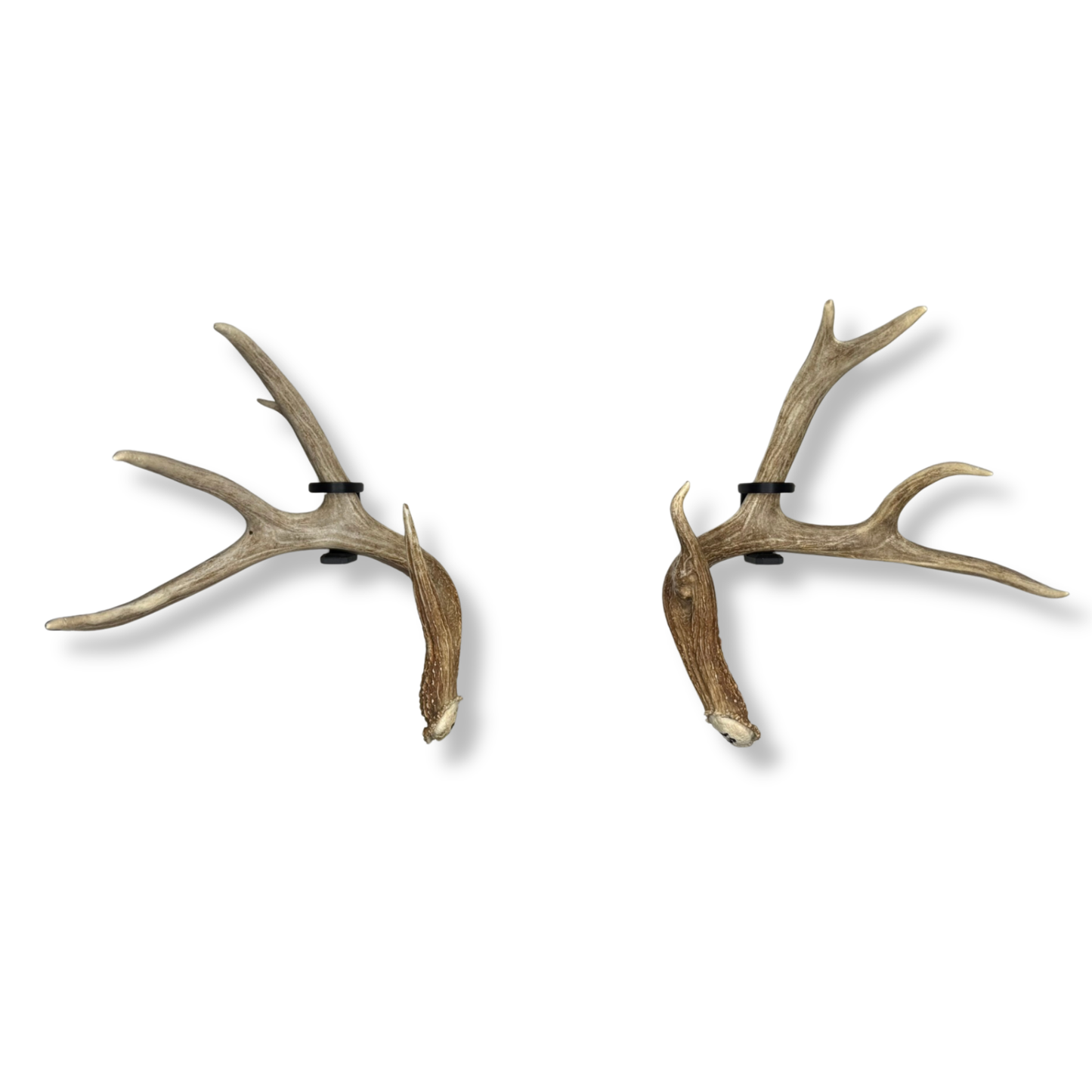 Deer Antlers on WAYMKR WALL mount