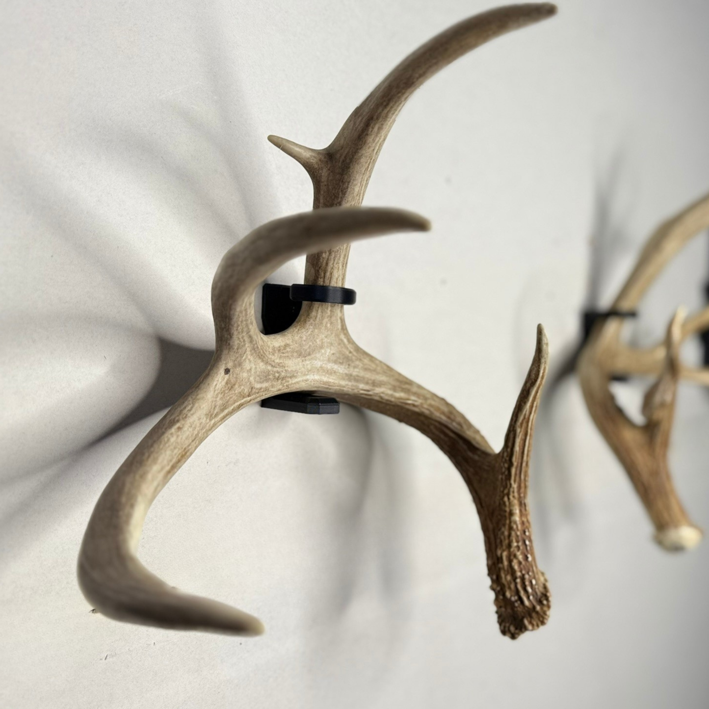 Deer Antlers on WAYMKR WALL mount side view