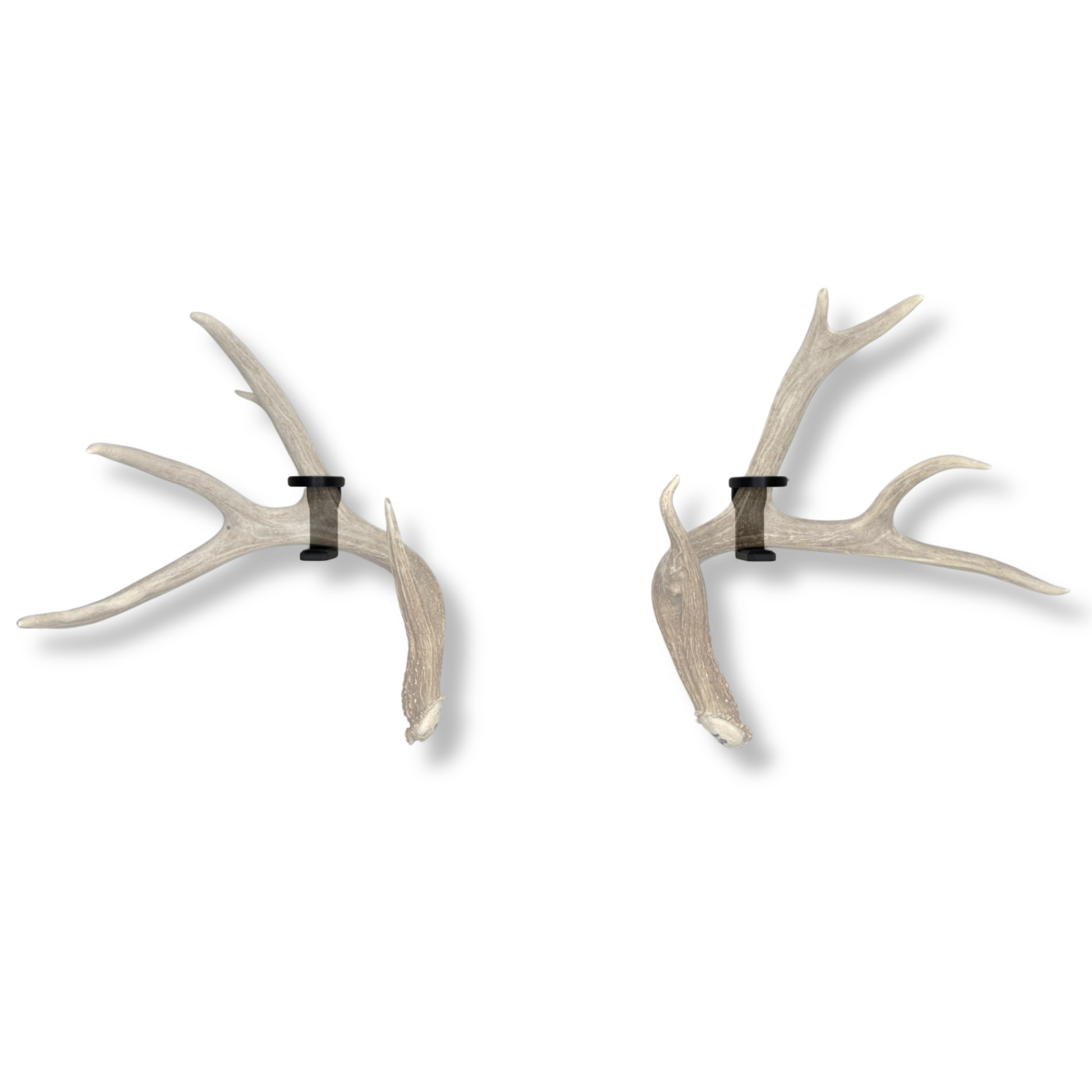 Deer Antlers on WAYMKR WALL mount