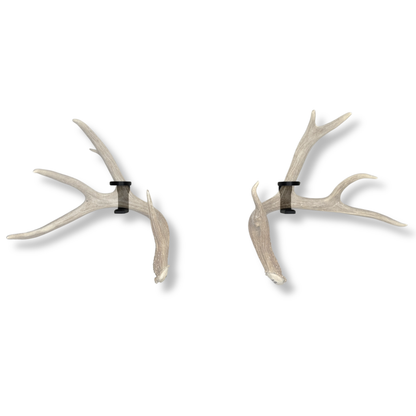 Deer Antlers on WAYMKR WALL mount