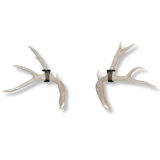 Deer Antlers on WAYMKR WALL mount