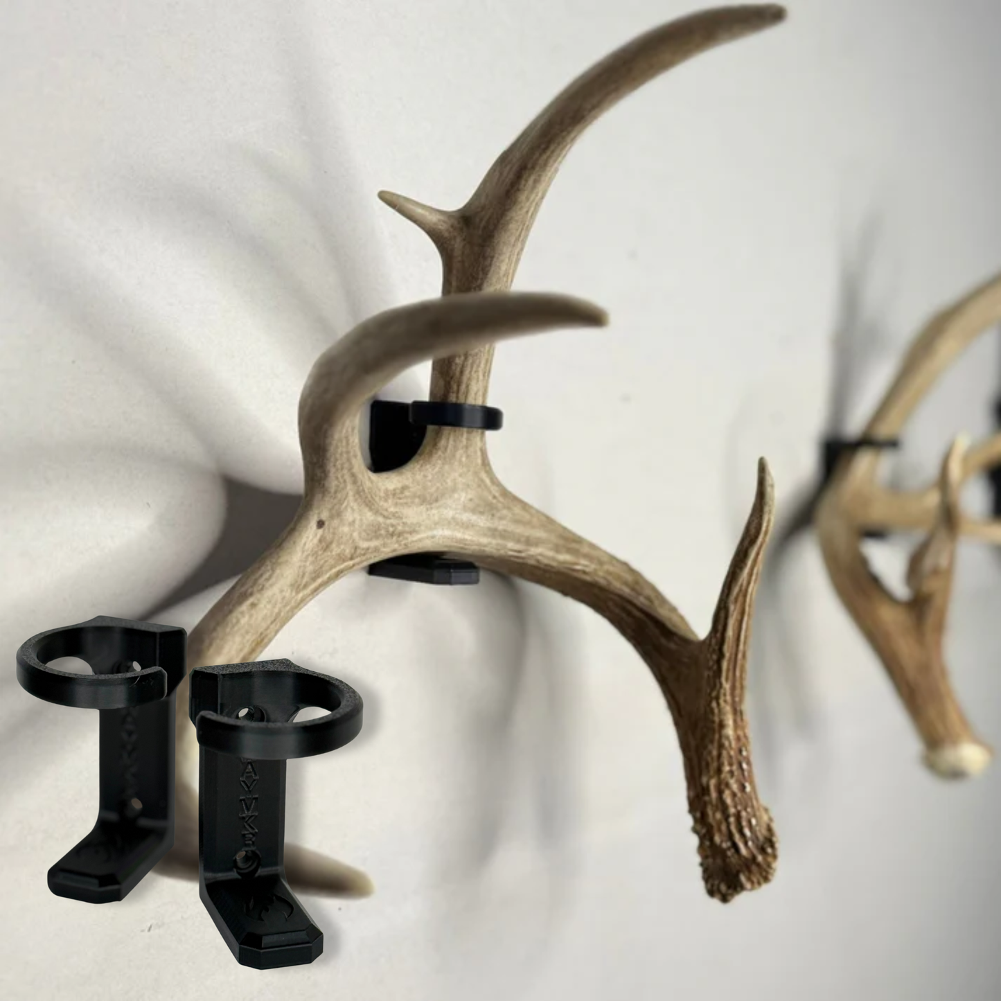 Antler Shed Mount