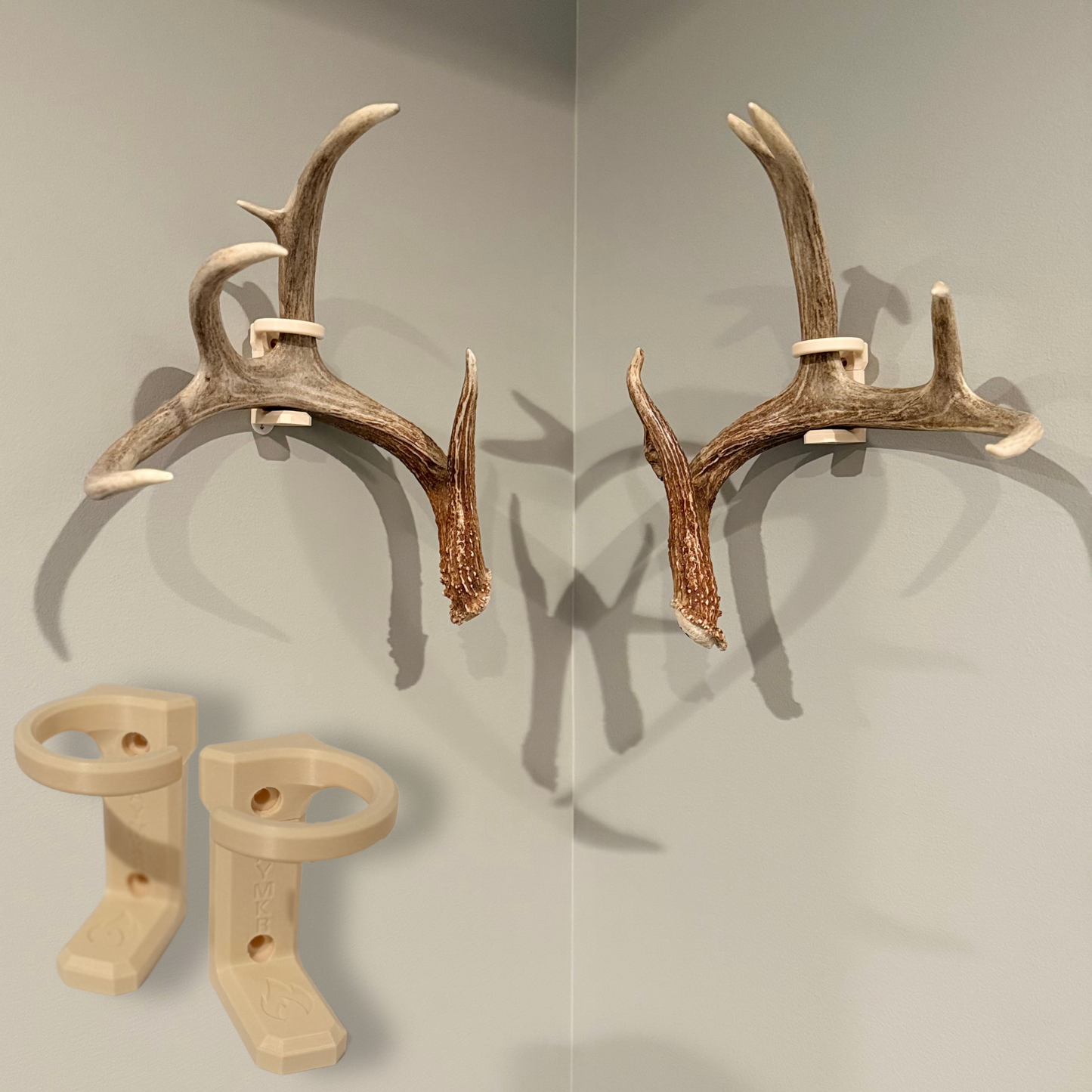 Antler Shed Mount