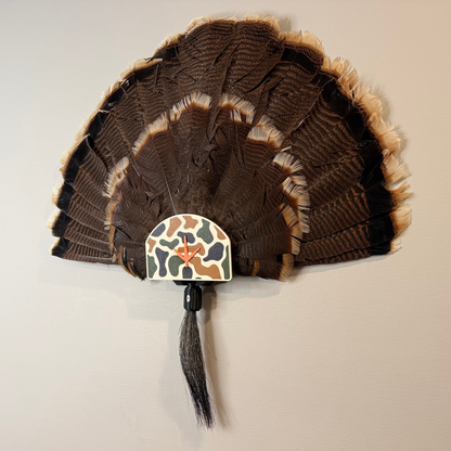 Close up of turkey fan mount display showing feather spread and beard hanger