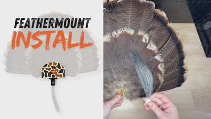 FeatherMount™ – Turkey Fan Wall Mount